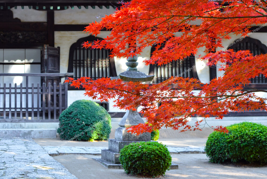 禅寺の紅葉の写真